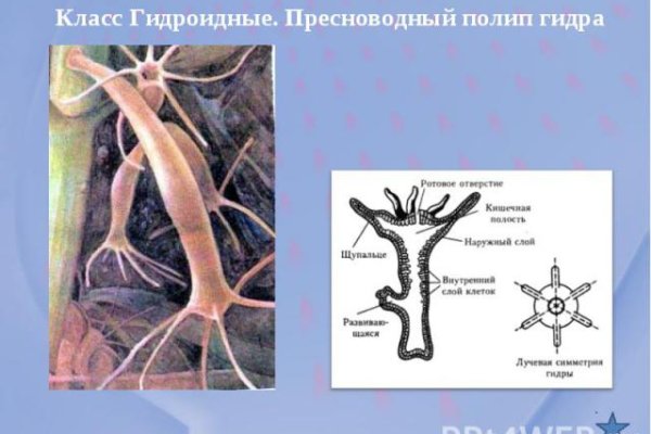 Как найти сайт кракен