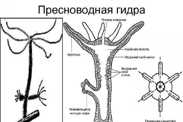 Кракен сайт маркетплейс ссылка