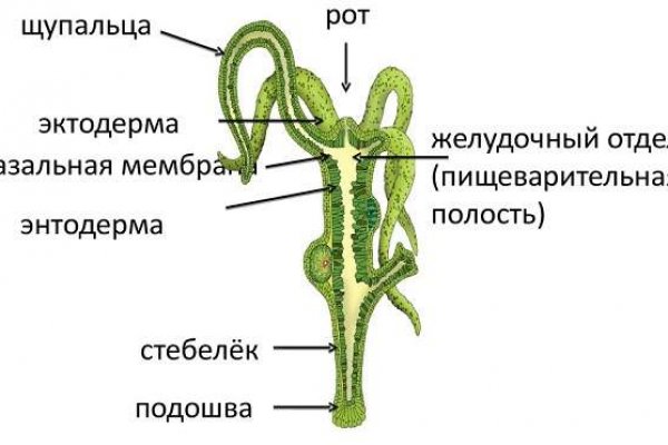 Кракен топ